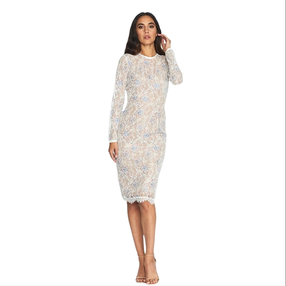 DRESS THE POPULATION Floral Lace Body Con Long Sleeve Kay Dress